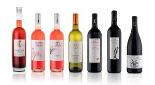 Domaines et châteaux viticoles 5